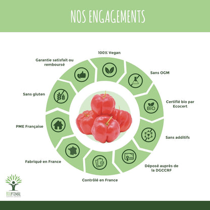 Acerola Bio - Bioptimal - Complément Alimentaire - Extrait D'Acérola En Gélule - 17% De Vitamine C Biodisponible - Anti-Fatigue Immunité - Fabriqué in France - Certifié Par Ecocert - 2 X 60 Gélules